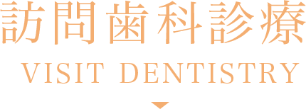 訪問歯科診療 VISIT DENTISTRY
